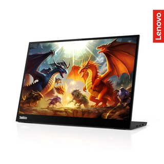 레노버 ThinkVision M14d 14인치 휴대용 모니터 미러링 USB-C, 35cm
