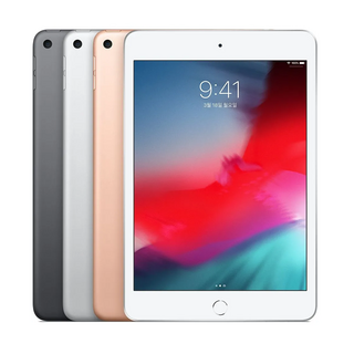Apple iPad mini 5세대, 실버, 256GB, Wi-Fi