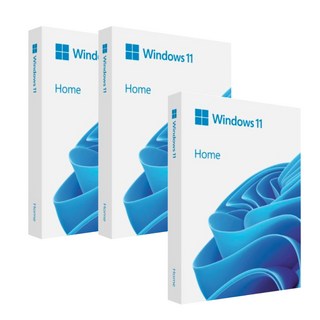 마이크로소프트 Windows 11 Home 처음사용자용 FPP USB 영구사용, 3개