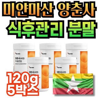 프리미엄 상품 A 사용 모습
