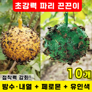 [빠른 배송] 파리 끈끈이 트랩 초강력 초파리 트랩 날파리 찍찍이 초파리없애는법 뿌리파리 강력접착 날파리퇴치기 노란색과 초록색 반반, 10개, 25g