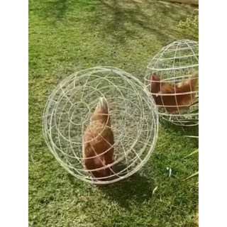 닭 케이지 방목 보호 1마리 도망방지 구형 야외 닭케이지 농장 체험장 캠핑장 동물 케이지, 2개