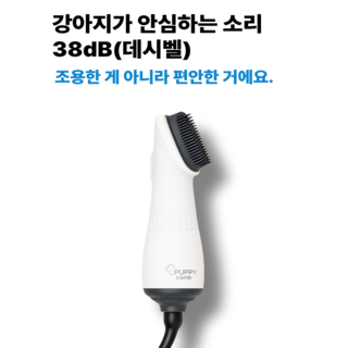 조이글롭 브러시형 퍼피콤 펫 드라이기, 파스텔블루, 1개