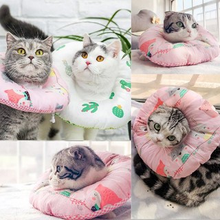 말썽쟁이여름 강아지 고양이 애견 긁음방지 깔대기 넥쿠션 목보호대 중성화 깔때기 목 쿠션 천 넥카라, 애니멀, XS, 1개