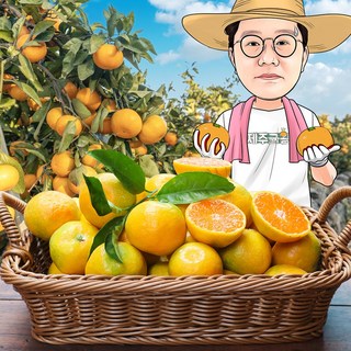제주귤왕 효돈 농장 새콤 달콤 노지 감귤 산지직송, 1개, 제주 감귤 랜덤(2S~M) 특상품 1.5kg