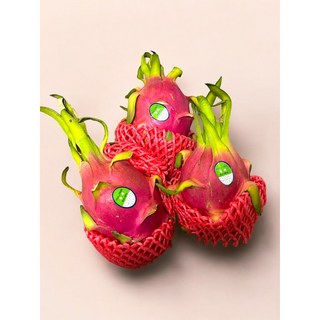 [DragonFruits]베트남 청정지역 프리미엄 백용과 8-12과 (특대과) 5kg 1박스[원산지 : 베트남], 8개