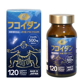 초대용량 오리지널 오키나와 후코이단 500mg 100억 유산균 (신 후코이단), 120정, 1개
