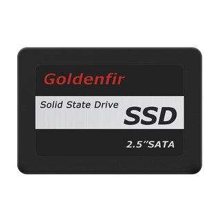 Goldenfir SSD 태블릿 500GB