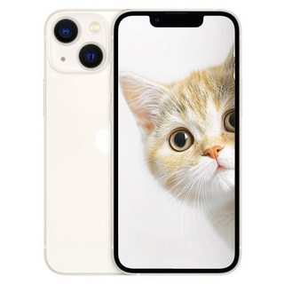 애플 아이폰 13 미니 128GB