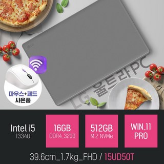 LG 울트라PC 15UD50T (512GB)
