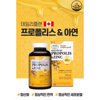 에버그린 에이펙스 알티지 오메가-3 비타민E 520mg x300캡슐, 에버그린에이펙스알티지오메가-3비타민E520mg, 1개, 300정