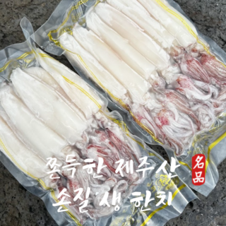 제주한치 당일조업 쫄깃한 생 한치, 1박스, 500g(1팩) 한치건조