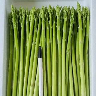 강원도 양구 생 아스파라거스 1 kg 국내산, 1박스, 1.1kg(소)