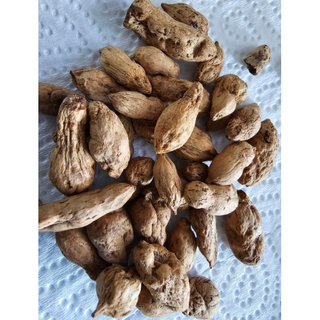 국산 직접수확한 볶은 맥문동