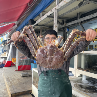 킹콩농수산 특A급 수율좋은 살아있는 블루 킹크랩 2.2kg내외, 1개, 자숙 1.8Kg 내외(1미)