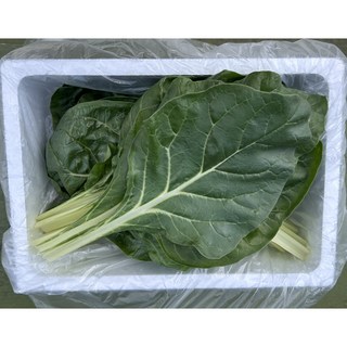 클로렐라 백근대, 1박스, 1kg