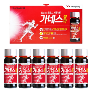 가네스 알파 마시는 피로 회복제 광동제약 약국 판매 제품, 100ml, 6개 대표 이미지 - 피로회복제 추천