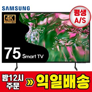 75인치 TV