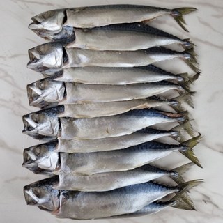 부산 자반 고등어 12미 소소, 1개, 1.7~2.3kg 내외