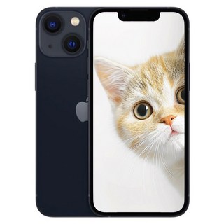 3. 아이폰 13 1..