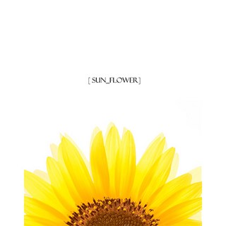 풍수아트 돈들어오는 풍수 해바라기 그림액자 19종, 7.SUN-꽃잎