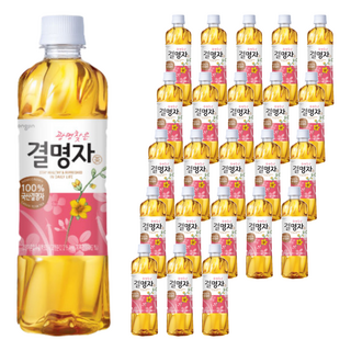 웅진 광명찾은 결명자차, 500ml, 24개
