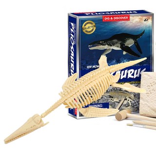 [오꿈] 공룡화석발굴 놀이 키트 뼈발굴 장난감, A 06 플리오사우루스 D7144, 1피스, 1세트