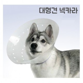 행운몰[럽펫] 동물병원전용 대형견 초대형견 중성화 넥카라 플라스틱 넥카라 길이조절가능, XL(20cm), 1개