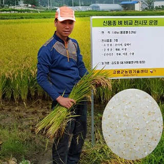 장현식품 햅쌀 삼광 백진주 향철아 4kg 10kg, 향철아4kg(2022년), 1개