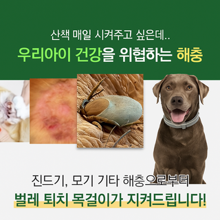 반려동물 벌레퇴치 목걸이 1+1 강아지 고양이 방충밴드, 2개, 1L, 딥그레이