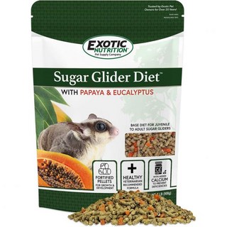 Exotic 엑소틱 슈가글라이더 먹이 파파야 유칼립투스 908g Papaya Eucalyptus, 1개
