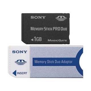플래시 메모리 카드 스틱 듀오 어댑터 포함 1GB 액세서리