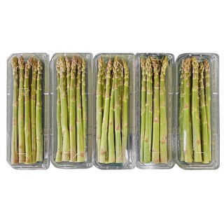 국내산 생 아스파라거스 1kg(200gX5팩) 굵기혼합, 1kg, 1개