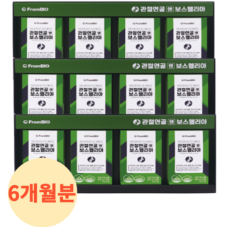 프롬바이오 관절연골 엔 보스웰리아 이병헌 보스웰리아, 12박스, 30정