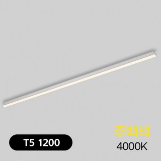 비츠온 LED T5 1200mm 20w 수량판매 플리커프리 A/S 2년보장, 5개, 주백색