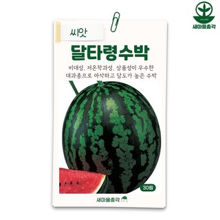 다농 달타령 수박 30립 고당도 여름과일 수박씨 여름채소, 1개