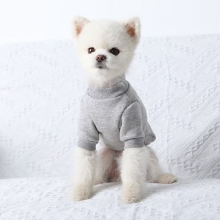 5. 럭키페터 강아지..