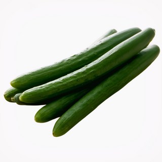 맛통령 국내산 취청오이, 2kg, 1개