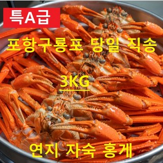 [신선온] 선주직송 포항 구룡포 연지 홍게 2KG 3KG 5KG 자숙홍게, 1개