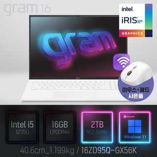 LG전자 그램16 16ZD95Q-GX56K