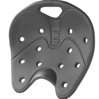 Backjoy 백조이 자세교정 방석