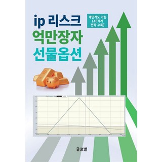 ip 리스크 억만장자 선물옵션, 김정수(저), 글로벌출판사, 김정수 저 대표 이미지 - 선물옵션 책 추천