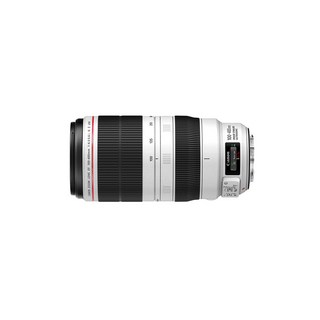 캐논 EF 100-400mm의 사용 모습