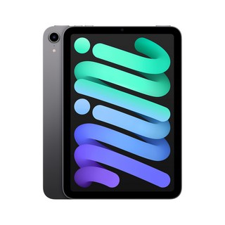 애플 아이패드 미니 6세대 스페이스그레이 와이파이 64GB 관부가세포함, Wi-Fi, 기본