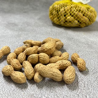 국산 볶은피땅콩 24년 햇땅콩, 1개, 200g
