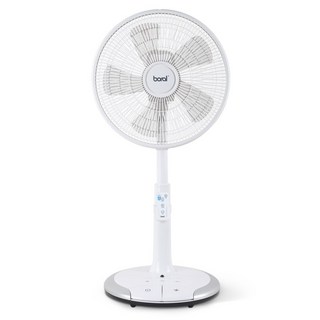 6. 보랄 5엽 발터..