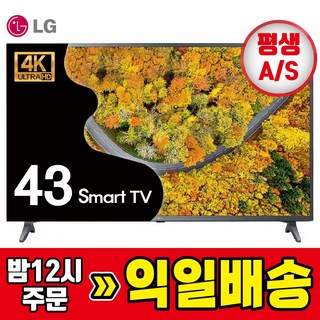 LG TV 109cm 4K UHD 스마트TV 유튜브 OTT 43UP751, 방문설치, 스탠드형, 43인치/109cm