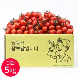 장보남 대추방울토마토 5kg 실중량, 1박스, 5kg(대과)