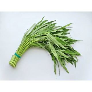 공심채 모닝글로리 500g 동남아야채 베트남채소 당일수확 bao thecbe / rau muong, 1개