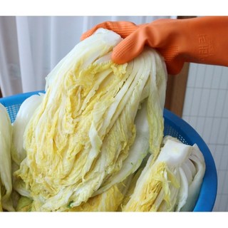 [전라남도 해남] 국내산 싱싱하고 아삭한 김장용 스테비아 절임배추, 10kg, 1세트